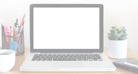 Chromebook laptop open to a blank screen, flanked by a container of pencils and coffee mug to the left, cell phone and small plant to the right.